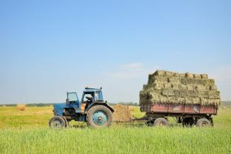 В Республике Саха (Якутия) началась кормозаготовительная кампания