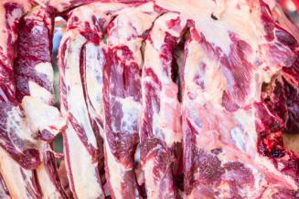 Ингушетия нарастила производство животноводческой продукции