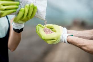 Минсельхоз предлагает субсидировать перевозку минеральных удобрений на Дальний Восток