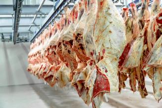В Пензенской области увеличилось производство продукции животноводства