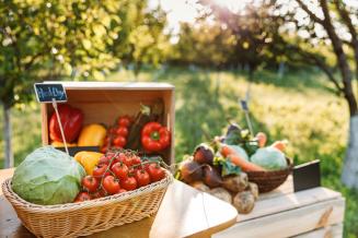 Договор о создании единого рынка органической сельхозпродукции планируют заключить в ЕАЭС