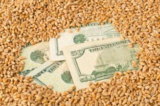 Экспорт продукции АПК из Ставропольского края с начала года составил 274,5 млн долл. США  