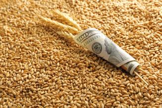Минсельхоз рассчитывает на увеличение экспорта продукции АПК в Египет