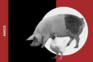 Обзор рынка мяса: январь – июль 2020