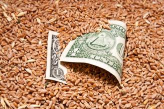 Башкирия нарастила поставки сельхозпродукции за рубеж на 44,8%