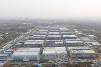 Китайская Muyuan строит крупнейший в мире свинокомплекс на 84 тыс. животных