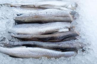 За 11 месяцев 2020 года из Приморья экспортирована рыба и морепродукты на 1,3 млрд долл.