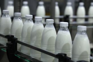 Россия получила право на экспорт молока и молочной продукции в Египет