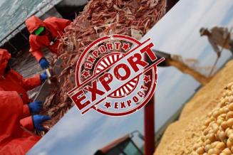 Экспорт сельхозпродукции из&nbsp;России в 2020 году превысил импорт почти на&nbsp;1&nbsp;млрд&nbsp;долл.&nbsp;США