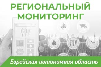 Еженедельный бюллетень о состоянии АПК Еврейской автономной области на 29 июня