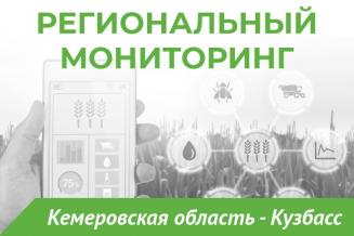 Еженедельный бюллетень о состоянии АПК Кемеровской области на 28 июня