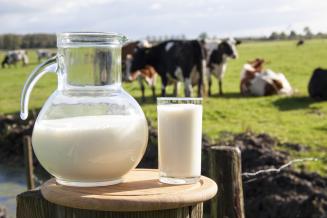 Рост экспорта российского молока и&nbsp;молочной продукции в&nbsp;2021 году ожидается на&nbsp;уровне&nbsp;20%
