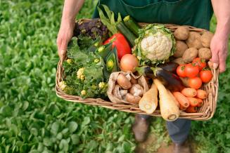 Фермерам могут разрешить торговать своей продукцией с поля