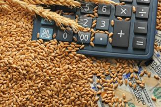 Экспорт продукции АПК из Чеченской Республики вырос на 45%