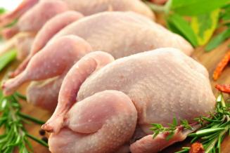В Новгородской области зафиксирована самая низкая цена в&nbsp;СЗФО на&nbsp;мясо кур