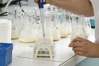 Минсельхоз России утвердил новые правила ветеринарно-санитарной экспертизы молока и молочных продуктов