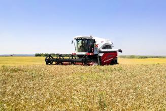 В Ростовской области урожай ранних зерновых культур превысил 11 млн т