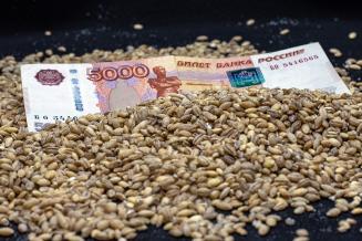 Регионам выделят свыше 10 млрд рублей в рамках нового механизма зернового демпфера