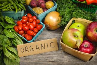 В России продажи органических продуктов питания растут быстрее обычных
