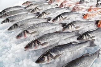 Россия перенаправила экспорт рыбной продукции из Китая в Корею, Японию и ЕС
