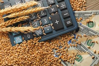 Экспорт продукции АПК из&nbsp;Республики Алтай с&nbsp;начала года составил 20&nbsp;млн&nbsp;долл.&nbsp;США