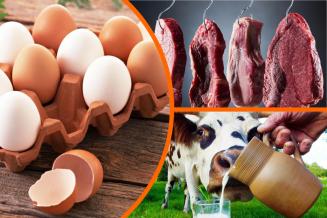 В Липецкой области продолжается рост производства куриных яиц