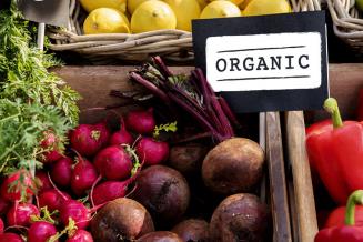 В России представили первый атлас национальной органической продукции