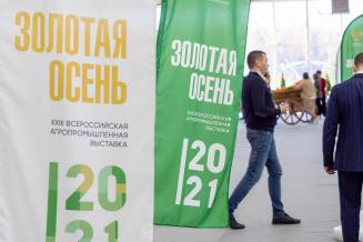 «Золотая осень – 2021»