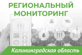 Еженедельный бюллетень о состоянии АПК Калининградской области на 25 ноября