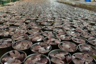 Обзор цен на сельхозпродукцию и продовольствие в Приморском крае