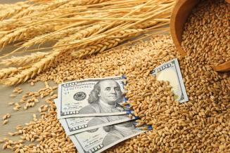 Экспорт продукции АПК из&nbsp;Ставропольского края с начала года достиг 448,7&nbsp;млн&nbsp;долл. 