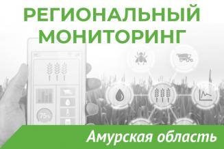 Еженедельный бюллетень о состоянии АПК Амурской области на 29 ноября