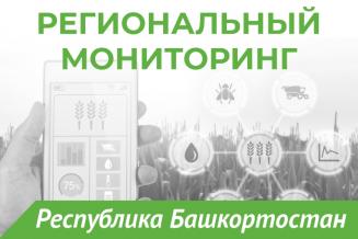 Еженедельный бюллетень о состоянии АПК Республики Башкортостан на 3 ноября