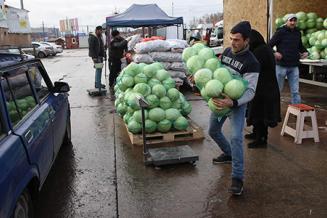 И дешево, и близко: как оптовые рынки продуктов изменят цены