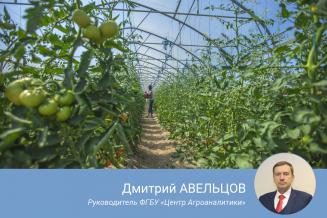 Инвестиции в производство тепличных овощей в&nbsp;РФ в&nbsp;ближайшие годы могут превысить 45&nbsp;млрд&nbsp;руб. 