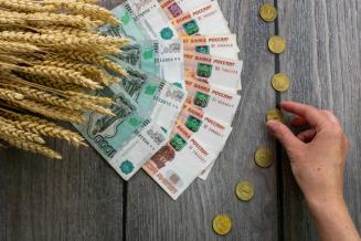 Минсельхоз: согласовано выделение дополнительных 10&nbsp;млрд&nbsp;руб. производителям зерна 
