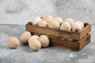 В&nbsp;Дагестане увеличилось производство животноводческой продукции