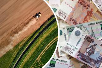 До аграриев Курской области доведено свыше 1,7&nbsp;млрд&nbsp;руб. федеральной поддержки