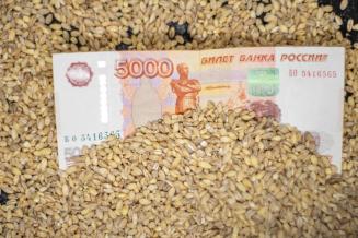 М. Мишустин заявил об&nbsp;увеличении господдержки АПК на&nbsp;35%