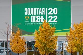«Золотая осень» — 2022