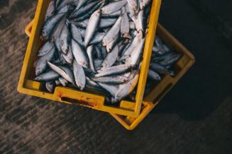 С&nbsp;начала года Приморье экспортировало продукцию АПК почти на&nbsp;2&nbsp;млрд&nbsp;долл.&nbsp;США