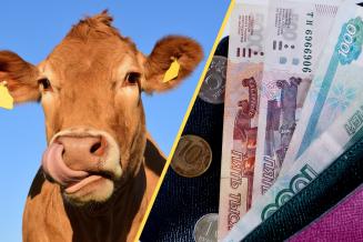 Российским животноводам в&nbsp;2023&nbsp;году выделят 600&nbsp;млн&nbsp;руб. на&nbsp;новый вид субсидий