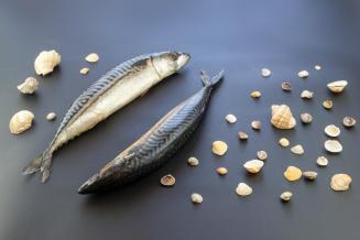 В России повысили сбор&nbsp;за&nbsp;вылов рыбы и&nbsp;морепродуктов