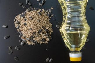 Экспорт масложировой продукции из&nbsp;Курской области вырос в&nbsp;14&nbsp;раз