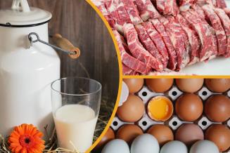 В&nbsp;Ленинградской области производство сельхозпродукции выросло на&nbsp;2,4%