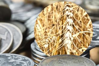Получателям господдержки АПК на&nbsp;Ставрополье перечислено 4,4&nbsp;млрд&nbsp;руб.