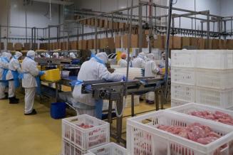 Экспорт халяльной продукции из&nbsp;России в&nbsp;2022 году вырос почти на&nbsp;50%