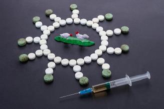 В России утверждена «дорожная карта» по совершенствованию системы ветеринарной безопасности страны