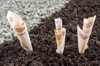 На&nbsp;господдержку саратовского АПК в&nbsp;2023&nbsp;году направят почти 3&nbsp;млрд&nbsp;руб.