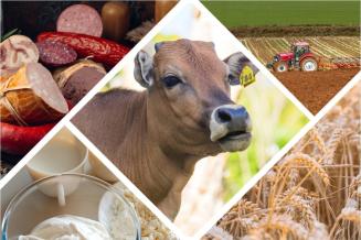 В Свердловской области в&nbsp;2022&nbsp;году произведена сельхозпродукция на&nbsp;127,4&nbsp;млрд&nbsp;руб.